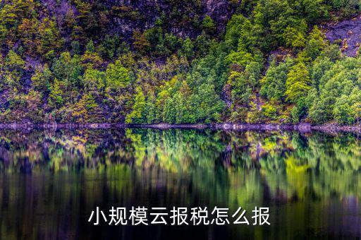如何在云辦稅廳報稅，小規(guī)模云報稅怎么報