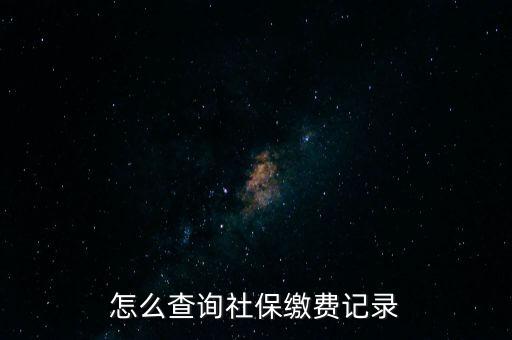 如何在地稅網(wǎng)繳納社保查詢，單位交了社保費在地稅網(wǎng)怎么查詢
