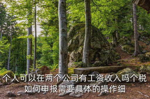 個(gè)稅如何申報(bào)多個(gè)企業(yè)所得稅，怎樣在一臺(tái)電腦上實(shí)現(xiàn)給多個(gè)企業(yè)申報(bào)個(gè)人所得稅