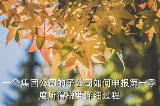 一個集團(tuán)公司的子公司如何申報第一季度所得稅要詳細(xì)過程