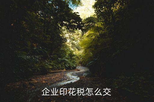 企業(yè)印花稅如何繳納，企業(yè)印花稅怎么交
