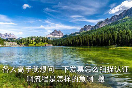 如何掃描認(rèn)證發(fā)票，各人高手我想問(wèn)一下發(fā)票怎么掃描認(rèn)證啊流程是怎樣的急啊  搜