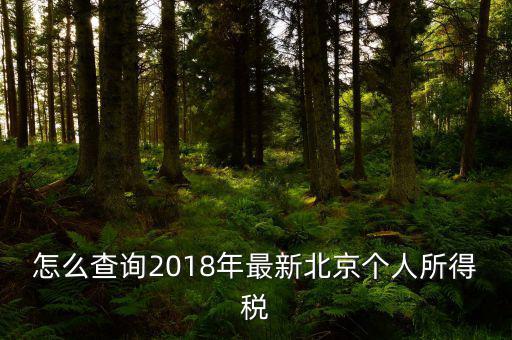 北京如何查詢個稅完稅證明，怎么查詢2018年最新北京個人所得稅