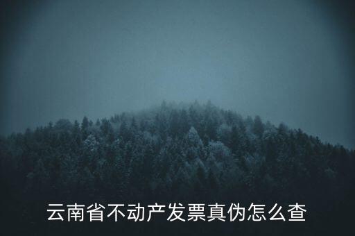 不動產統(tǒng)一發(fā)票如何查詢真?zhèn)?，銷售不動產統(tǒng)一發(fā)票真假怎么辨別