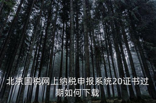 北京國稅網(wǎng)站如何更新，如何在國稅網(wǎng)上更新公司的信息
