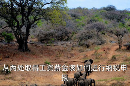 多出取得工資 如何申報(bào)個(gè)稅，個(gè)人多處取得所得如何申報(bào)繳納個(gè)稅