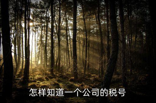 單位稅號(hào)如何查詢(xún)，知道公司名字怎么查稅號(hào)嗎