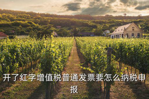紅字進項如何申報，開了紅字增值稅普通發(fā)票要怎么納稅申報