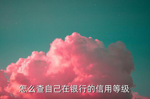 如何查納稅人信用等級，如何確認企業(yè)為納稅信用A級增值稅一般納稅人