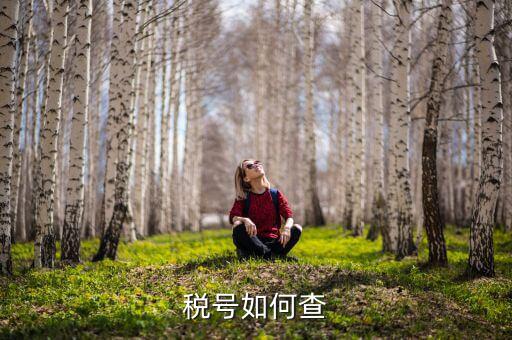 武漢如何查公司稅號(hào)，有誰(shuí)知道公司名怎么查公司稅號(hào)