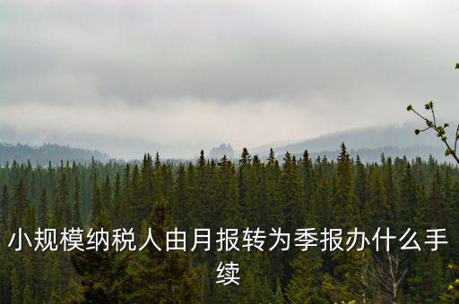 小規(guī)模附加稅如何改成按季申報(bào)，小規(guī)模納稅人增值稅按月申報(bào)可以改為按季度申報(bào)嗎