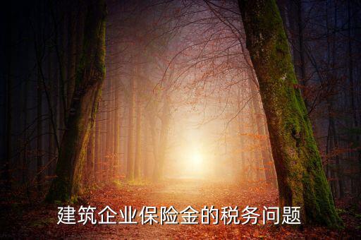 保險公司稅務管理如何處理，建筑企業(yè)保險金的稅務問題
