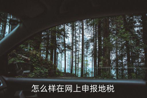 地稅網站如何注冊，地稅網上申報注冊怎么操作