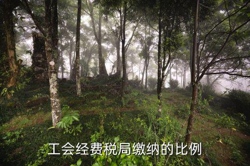 稅局代收的工會(huì)經(jīng)費(fèi)應(yīng)如何交納，稅務(wù)局代收的工會(huì)經(jīng)費(fèi)怎么交