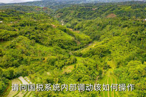 請(qǐng)問國(guó)稅系統(tǒng)內(nèi)部調(diào)動(dòng)該如何操作