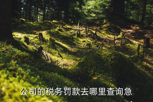 如何查稅收違法記錄，公司的稅務(wù)罰款去哪里查詢急