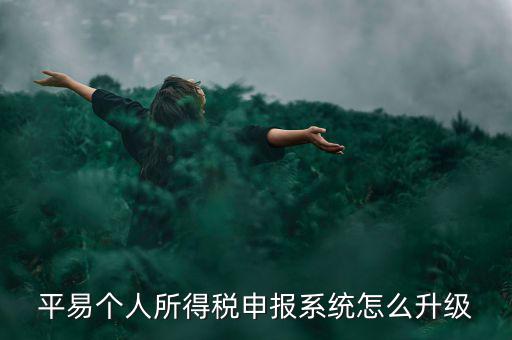 個稅如何在線升級，個稅系統(tǒng)的版本號V12146如何升級V12159