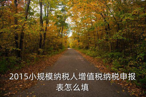 小規(guī)模納稅人國稅申報(bào)表如何填，小規(guī)模納稅人的報(bào)表怎么填