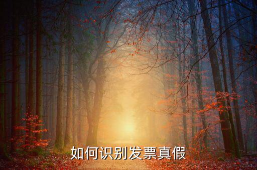 深圳國稅局發(fā)票如何查詢真?zhèn)尾樵?，如何在認(rèn)證前查驗(yàn)發(fā)票真?zhèn)?/></a></span><span id=
