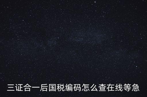 如何查詢(xún)個(gè)人稅務(wù)編號(hào)查詢(xún)系統(tǒng)，請(qǐng)問(wèn)在哪里可以查到納稅人編碼