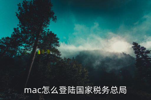 如何登錄國家稅務(wù)總局，mac怎么登陸國家稅務(wù)總局