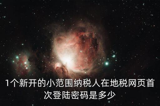 地稅ca如何登錄密碼是多少錢，1個(gè)新開的小范圍納稅人在地稅網(wǎng)頁首次登陸密碼是多少