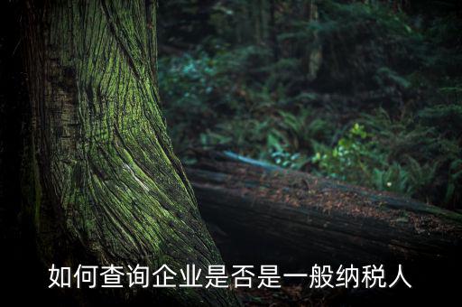 如何查詢(xún)企業(yè)是否是一般納稅人