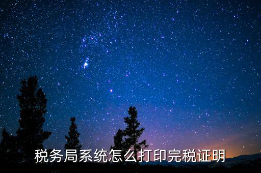 稅務局系統(tǒng)怎么打印完稅證明