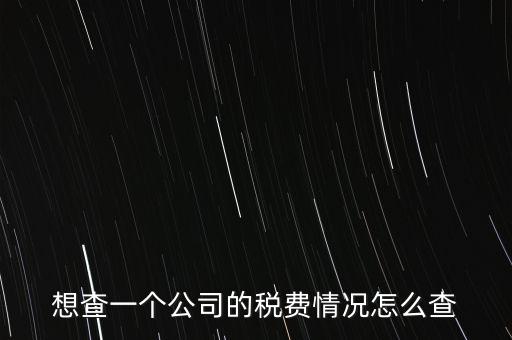 如何查詢公司納稅記錄查詢，想查一個(gè)公司的稅費(fèi)情況怎么查