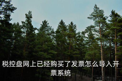 如何網(wǎng)上開票系統(tǒng)，稅控盤網(wǎng)上已經(jīng)購買了發(fā)票怎么導入開票系統(tǒng)