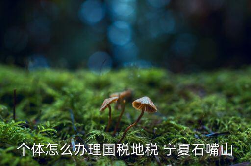 如何進行網上稅務申報寧夏，寧夏中稅電子申報系統的報表時間如何修改 是CTRL神馬來的