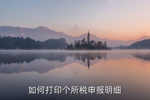 如何打印個所稅申報明細
