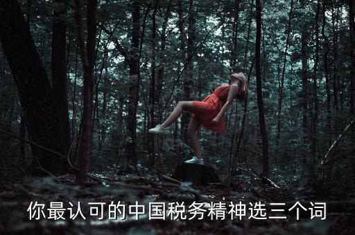 你最認(rèn)可的中國稅務(wù)精神選三個詞