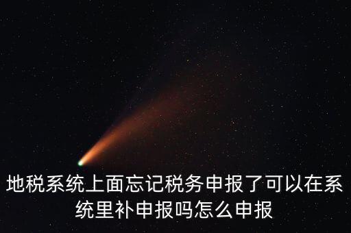 地稅如何補充申報表，地稅系統(tǒng)上面忘記稅務(wù)申報了可以在系統(tǒng)里補申報嗎怎么申報