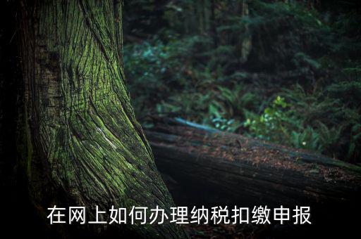 在網上如何辦理納稅扣繳申報
