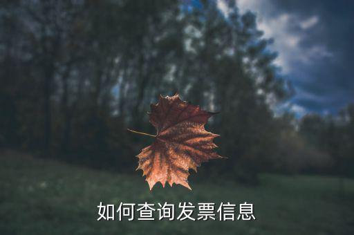 開票系統(tǒng)如何查詢票種，如何從金稅盤中看出公司票種