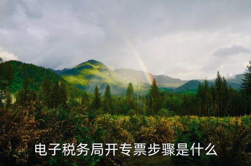 山西省稅務(wù)局網(wǎng)上如何開(kāi)專票，如何開(kāi)增值稅專用發(fā)票