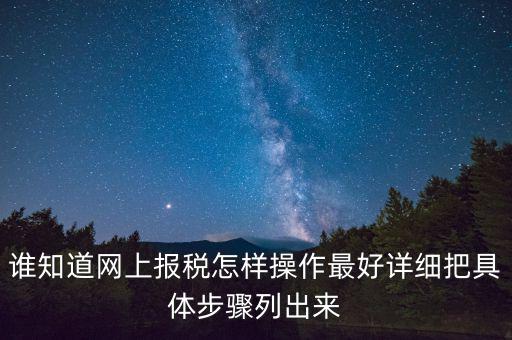 如何進行網上納稅申報，如何進行網上申報稅款