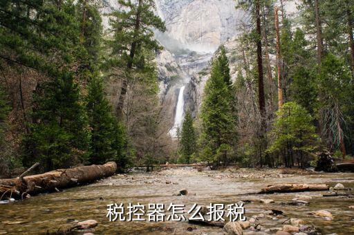 有稅控盤如何報稅，稅控器怎么報稅