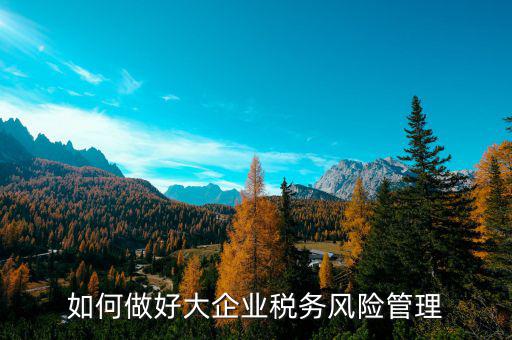 如何加強(qiáng)對(duì)重點(diǎn)企業(yè)的稅務(wù)管理，加強(qiáng)大企業(yè)的稅收管理有何良策
