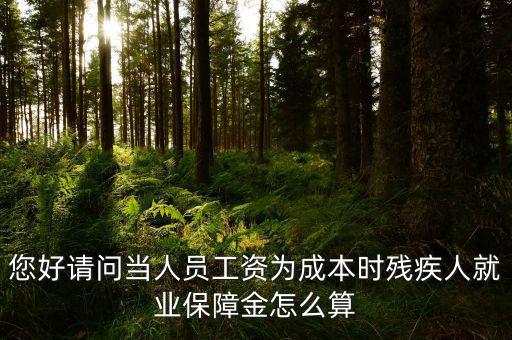 您好請(qǐng)問當(dāng)人員工資為成本時(shí)殘疾人就業(yè)保障金怎么算