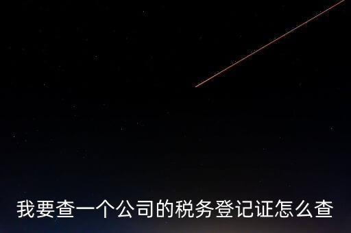 如何查企業(yè)的稅收記錄，想查一個(gè)公司的稅費(fèi)情況怎么查