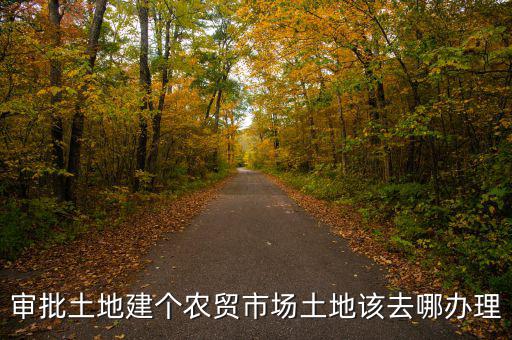農(nóng)貿(mào)市場(chǎng)土地如何取得，審批土地建個(gè)農(nóng)貿(mào)市場(chǎng)土地該去哪辦理