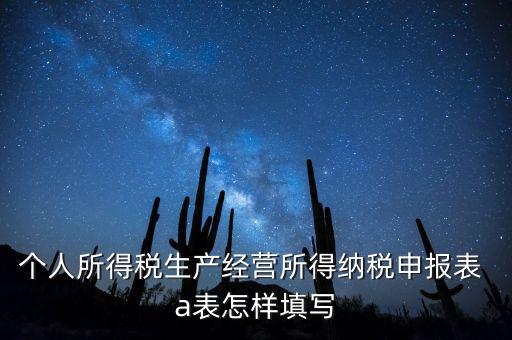 個(gè)人經(jīng)營所得申報(bào)表a表如何填，個(gè)人所得稅經(jīng)營所得稅申報(bào)表a表怎么填