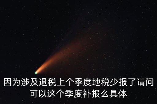 地稅如何補充申報，因為涉及退稅上個季度地稅少報了請問可以這個季度補報么具體