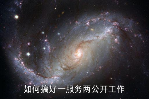 如何推進一案雙查工作，如何搞好一服務(wù)兩公開工作