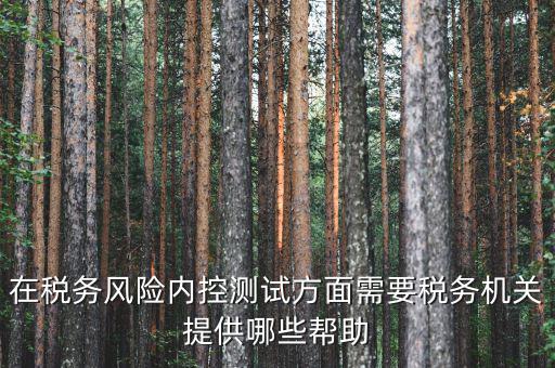 在稅務風險內控測試方面需要稅務機關提供哪些幫助
