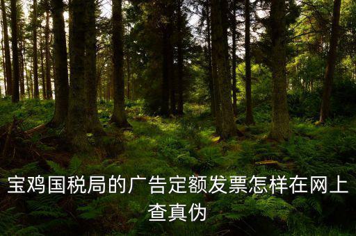 國(guó)稅定額發(fā)票如何查驗(yàn)，國(guó)稅的定額發(fā)票怎么辨別真假制作的跟假的似的