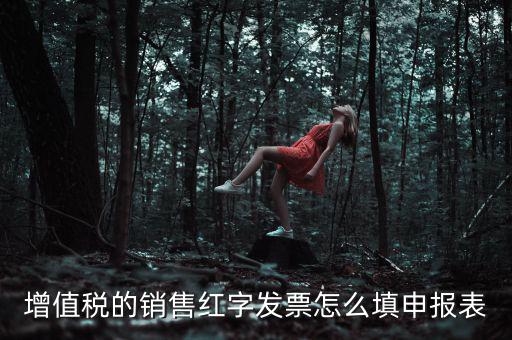 紅字開(kāi)票金額如何填寫(xiě)增值稅申報(bào)表，紅字發(fā)票如何填寫(xiě)增值稅報(bào)表二