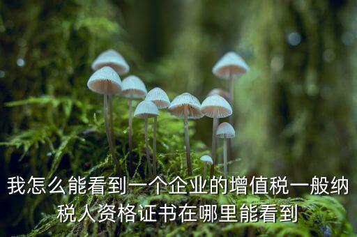 增值稅一般納稅人資格如何查詢，重慶國稅網(wǎng)如何查詢企業(yè)是否一般納稅人